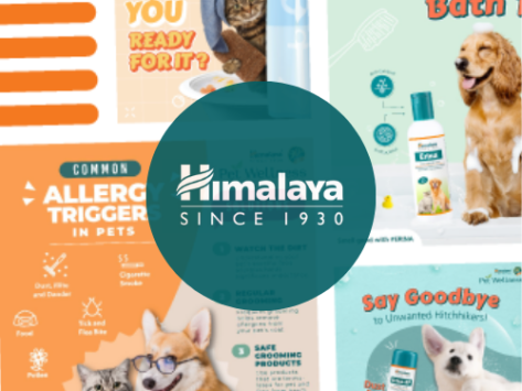 Himalaya Portfolio