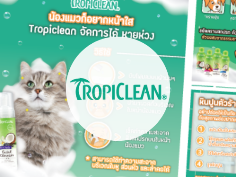 Tropiclean Portfolio